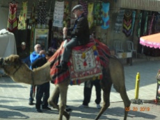 Jim rides the camel